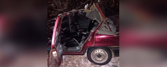 Три подростка погибли при наезде машины на табун лошадей в Башкирии