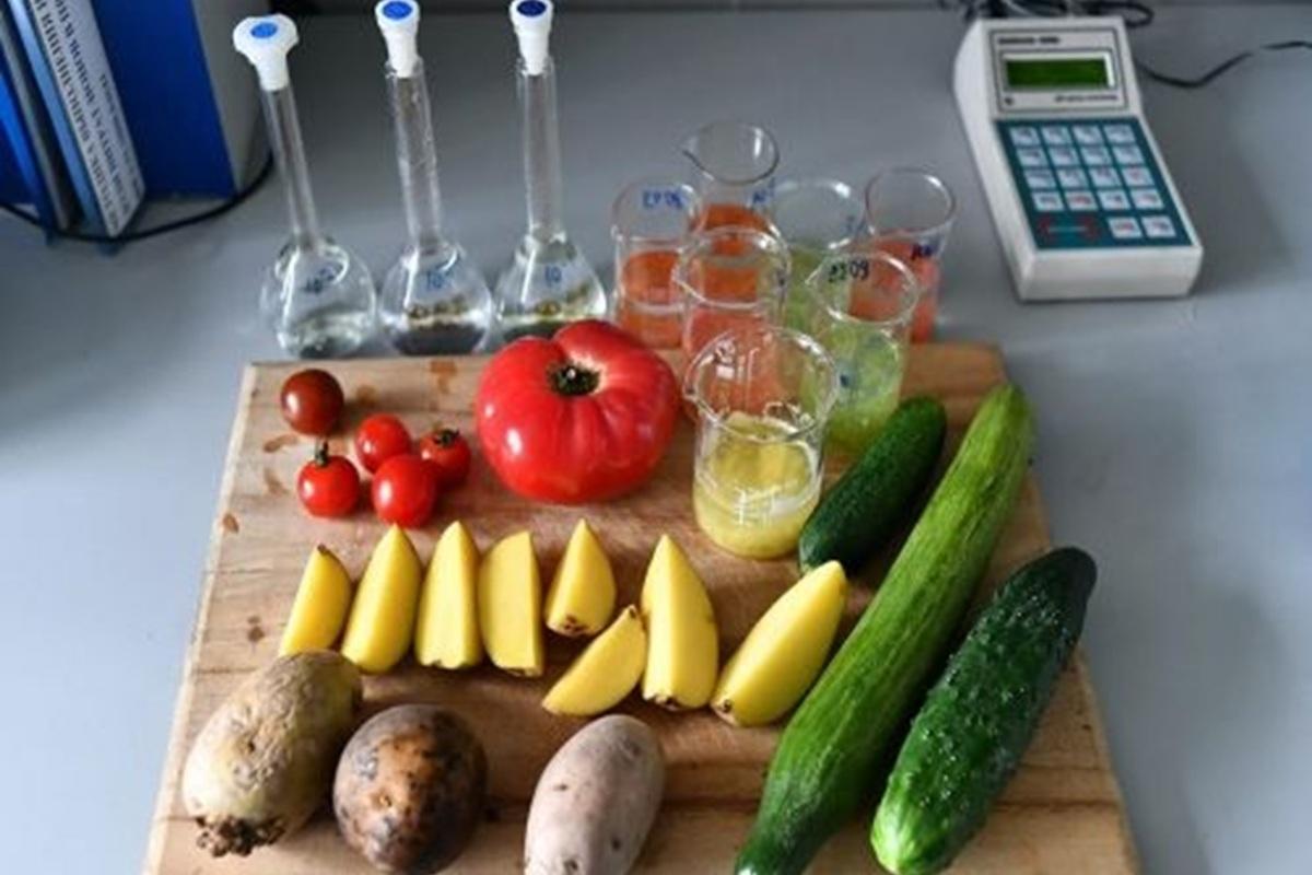 Грибы и ягоды с рук пойдут под контроль: новые правила для новосибирцев вводят с сентября