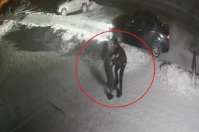 В Новосибирске неизвестный силой затащил девушку в черную Honda Accord и скрылся, мотивы преступника выясняет полиция
