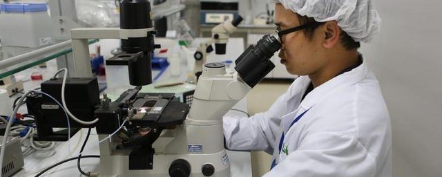 Китайские учёные перечислили три пугающих особенности омикрон-штамма