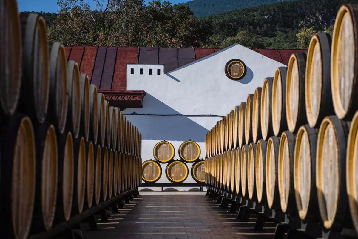 Засуха в Крыму: виноделы теряют до половины урожая, но обещают вина с изысканным вкусом