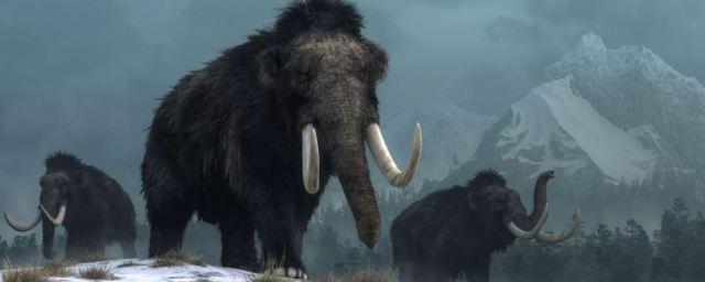 Глобальное изменение климата привело к вымиранию мамонтов в Сибири
