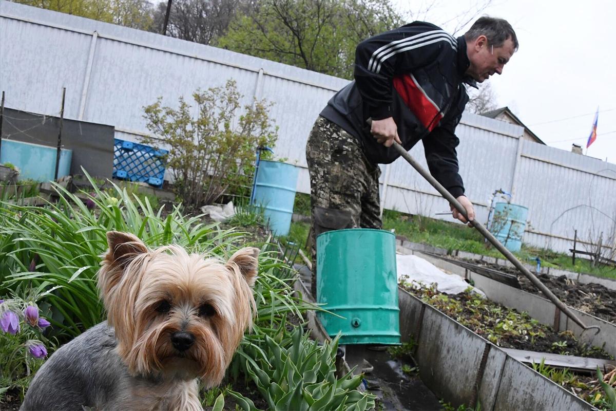 В Госдуме рассказали о поправках в законе о садоводстве