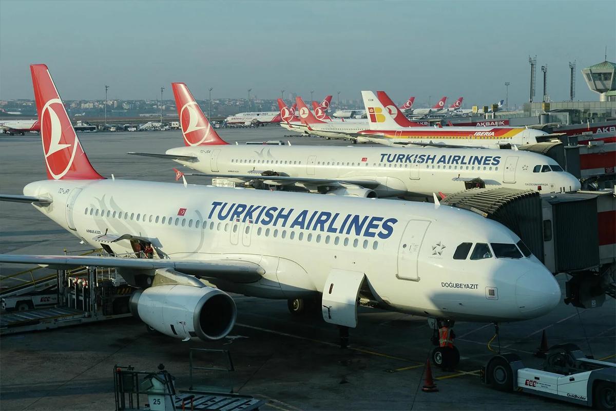 Турецкие авиакомпании зафиксируют нарушения на борту самолетов