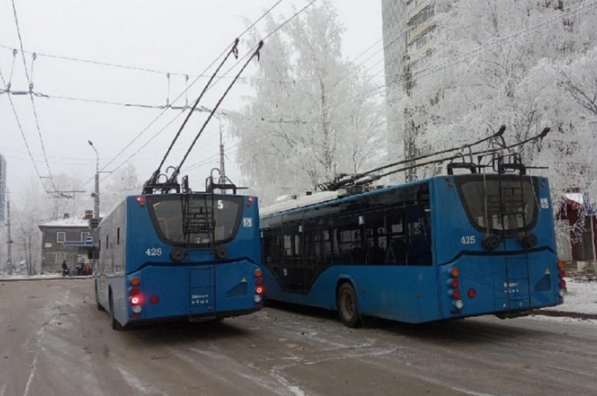 Первую партию новых троллейбусов привезут в Петрозаводск весной 2024 года в рамках лизингового госконтракта