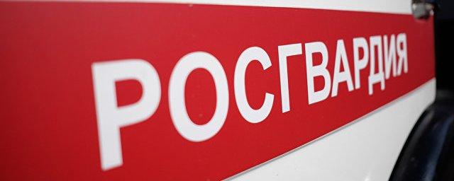 Росгвардия будет жестко пресекать провокации на выборах