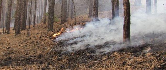 На Колыме сохраняется высокая опасность лесных пожаров