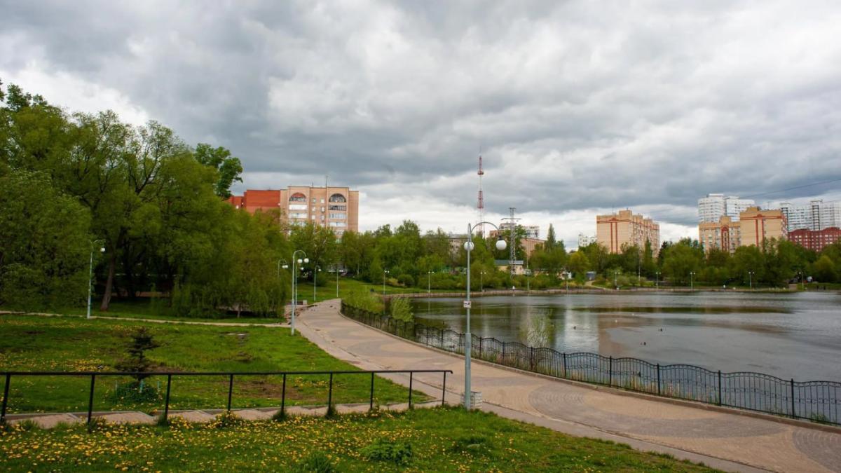 В городе Пушкино у озера Травинское будет создана комфортная зона отдыха на берегу