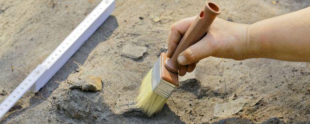 В Омской области археологи выявили следы жертвоприношения в саргатском кургане