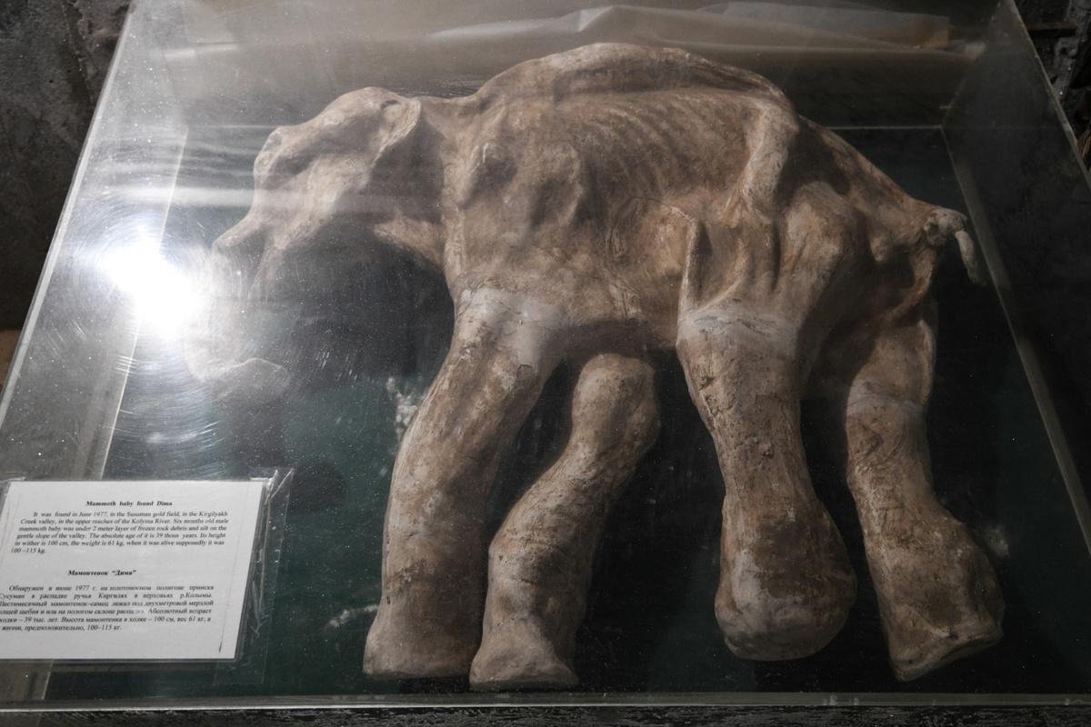 На выставке в Ханты-Мансийске представят уникальный экспонат