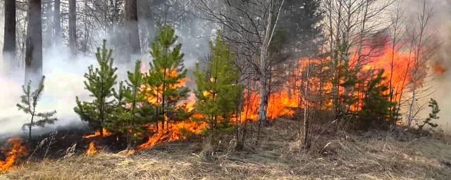 Рядом с Ханты-Мансийском произошел крупный природный пожар