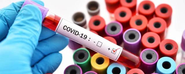 В Рязани еще два человека заразились COVID-19