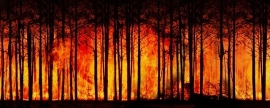 Глава Чукотского АО Копин сообщил о ликвидации последнего природного пожара в регионе