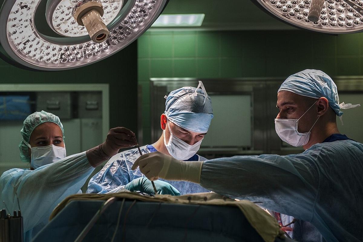 Колыма пополняет медицинские кадры: в регион прибыли 55 новых врачей