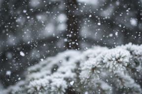 В Москве прогнозируют снег, метель и порывы ветра до 17 м/с
