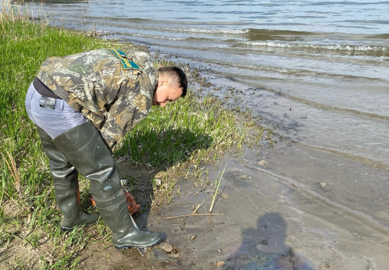 Росприроднадзор зафиксировал масштабное загрязнение Волги в Астрахани