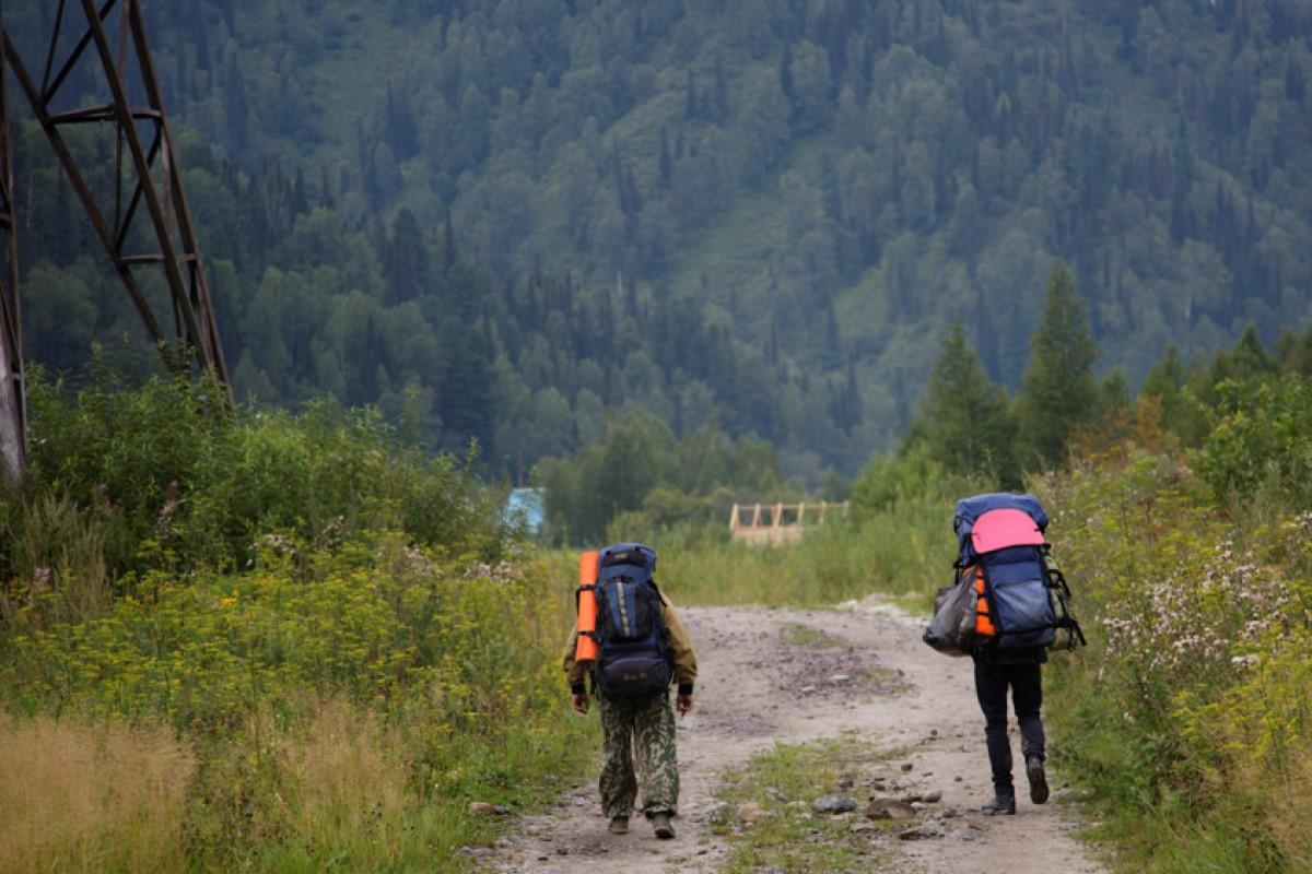 Житель Кузбасса украл 22 млн рублей, предназначенных для строительства кемпингов