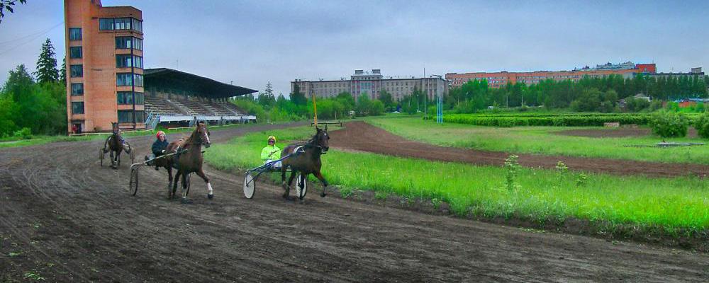 На Ижевском ипподроме откроют современный центр конного спорта