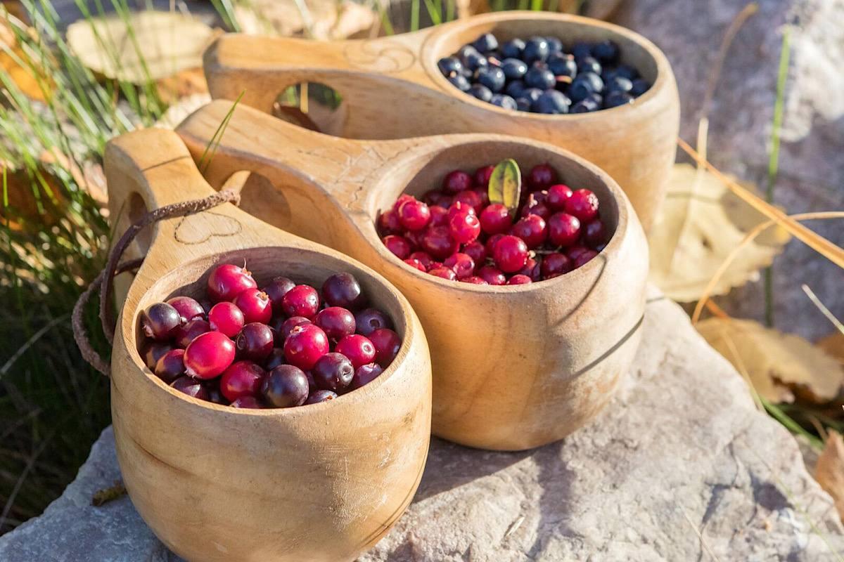 Защита от болезней сердца: может ли витамин C стать вашим союзником?