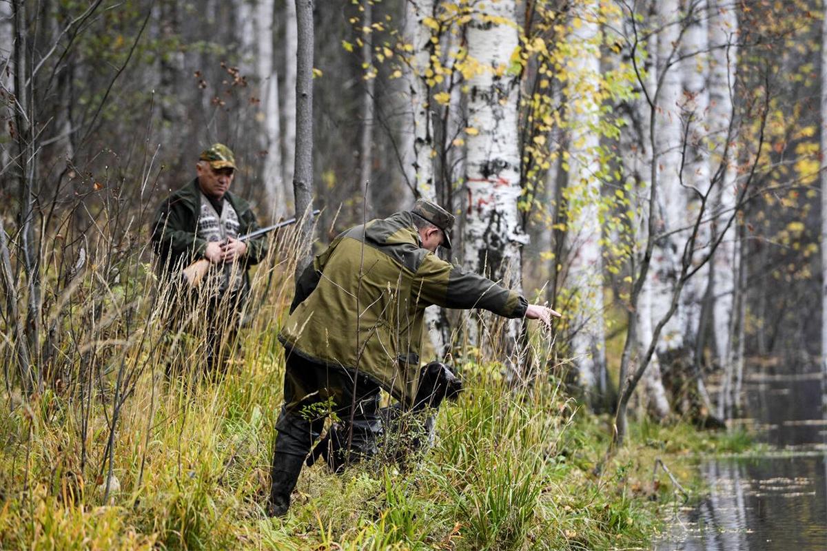 Весенний сезон охоты начался в Новосибирской области