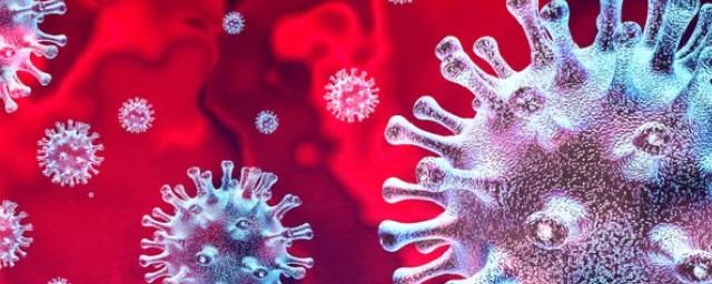 ВОЗ назвал причину ухудшения ситуации с коронавирусом в Европе
