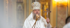 Ростовский митрополит Меркурий назвал ЭКО вмешательством в божий промысел