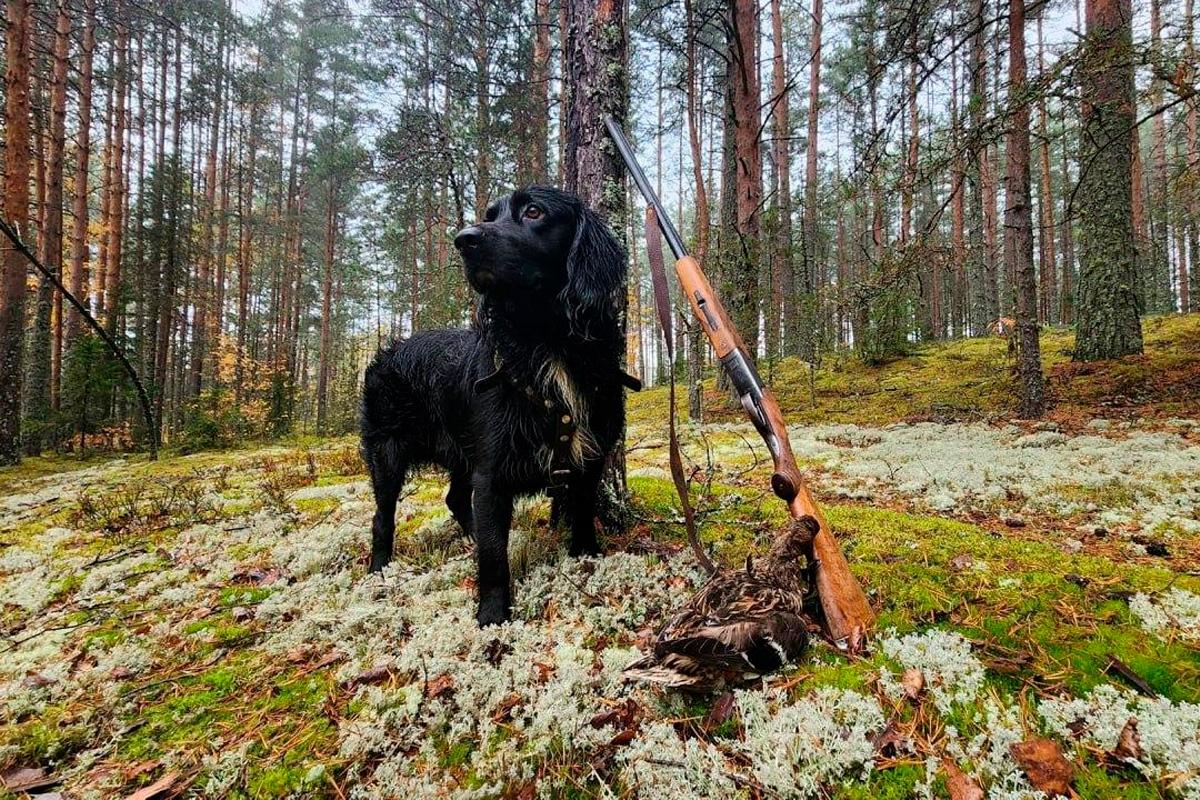 В Зарайске определили сроки весеннего сезона охоты на пернатую дичь