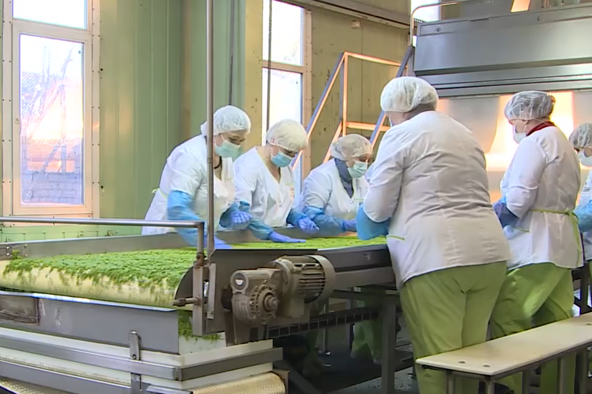 Мордовия укрепляет продовольственную базу региона в рамках нацпроекта