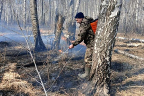 Режим чрезвычайной ситуации ввели в Карталинском округе из-за лесных пожаров