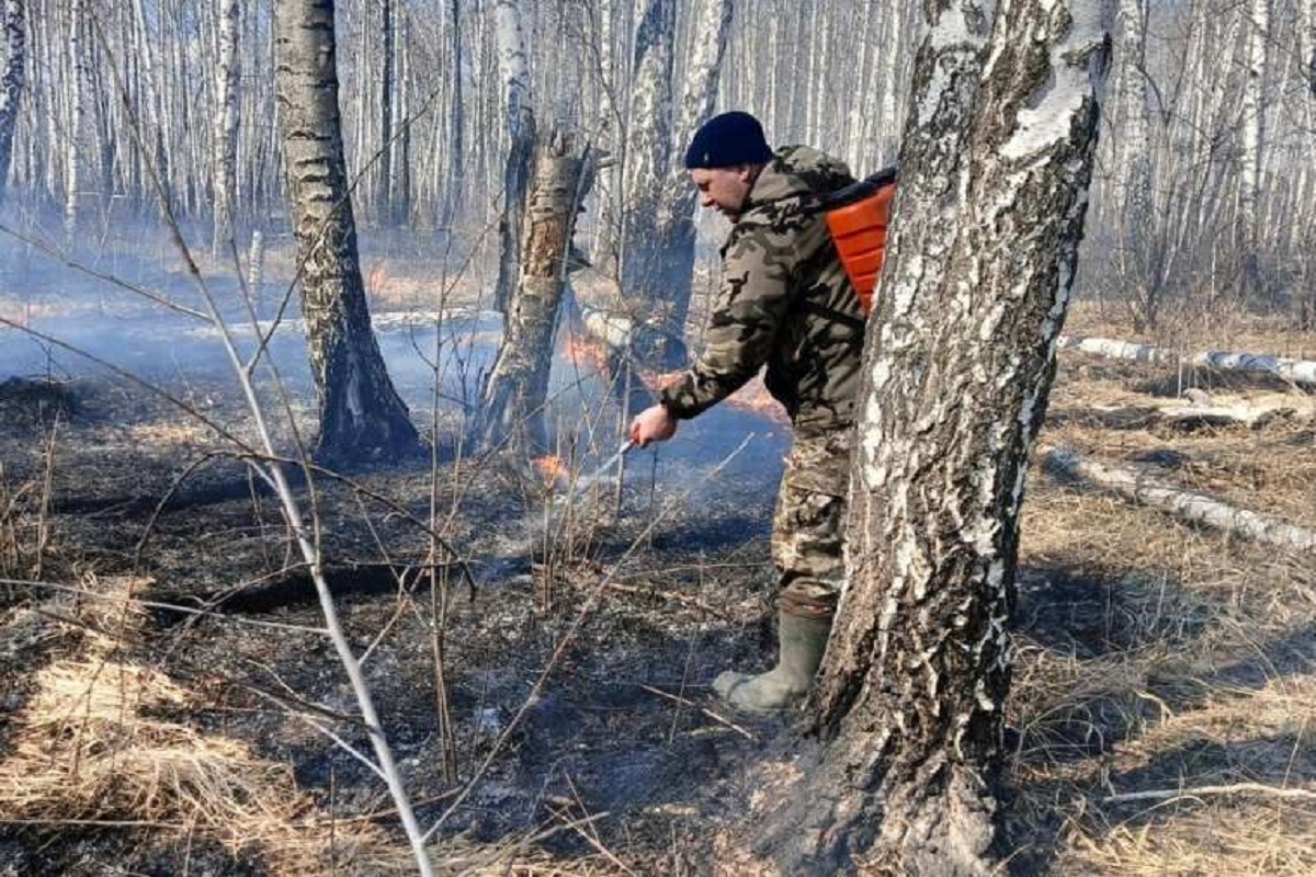 Режим чрезвычайной ситуации ввели в Карталинском округе из-за лесных пожаров