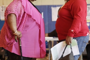 Новосибирские ученые разработали программу, предсказывающую развитие ожирения