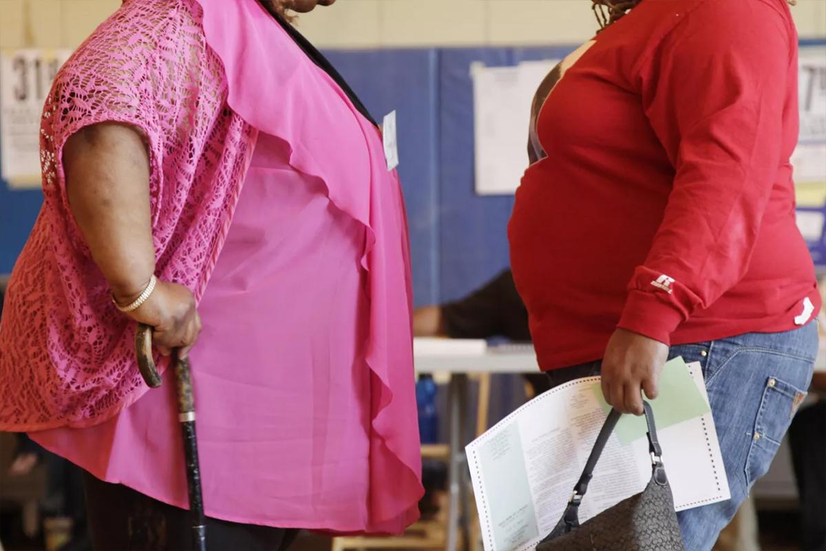 Новосибирские ученые разработали программу, предсказывающую развитие ожирения