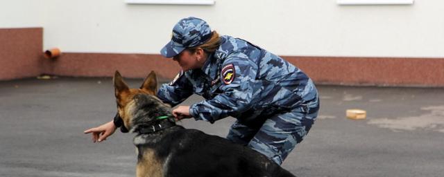 В Омске на железнодорожном вокзале нашли самодельную бомбу