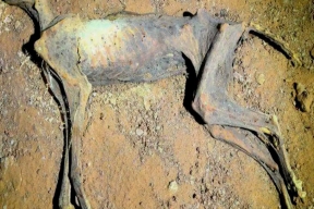 В Саудовской Аравии нашли мумии гепардов возрастом 4000 лет