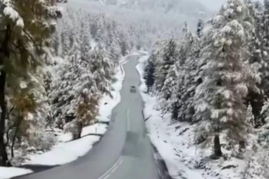 Зима пришла рано: как выглядит Алтай после сентябрьского снегопада