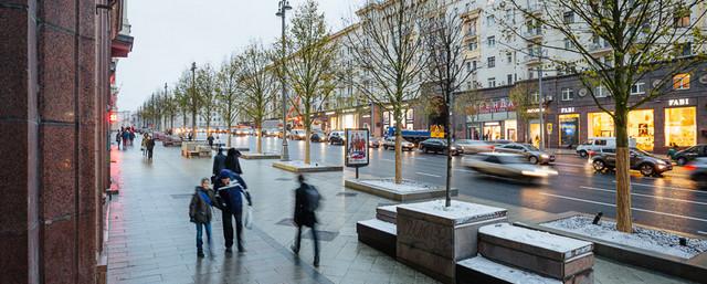 В Москве на Садовом кольце высадят 2 тысячи деревьев