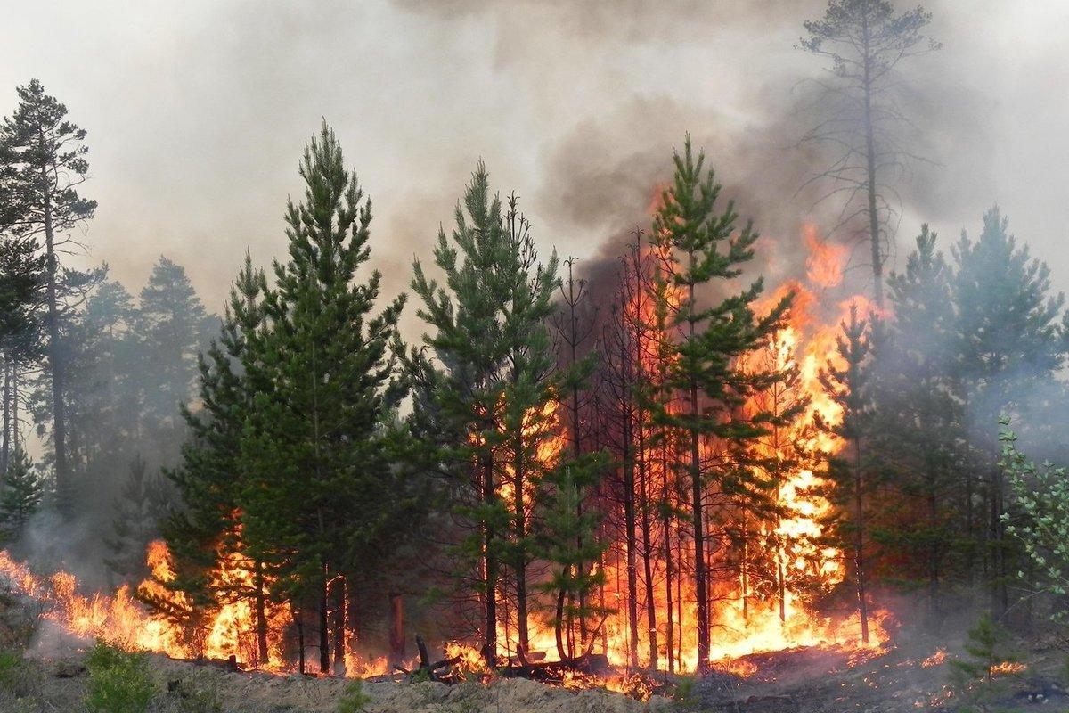 В Магаданской области объявлено экстренное предупреждение о риске лесных пожаров