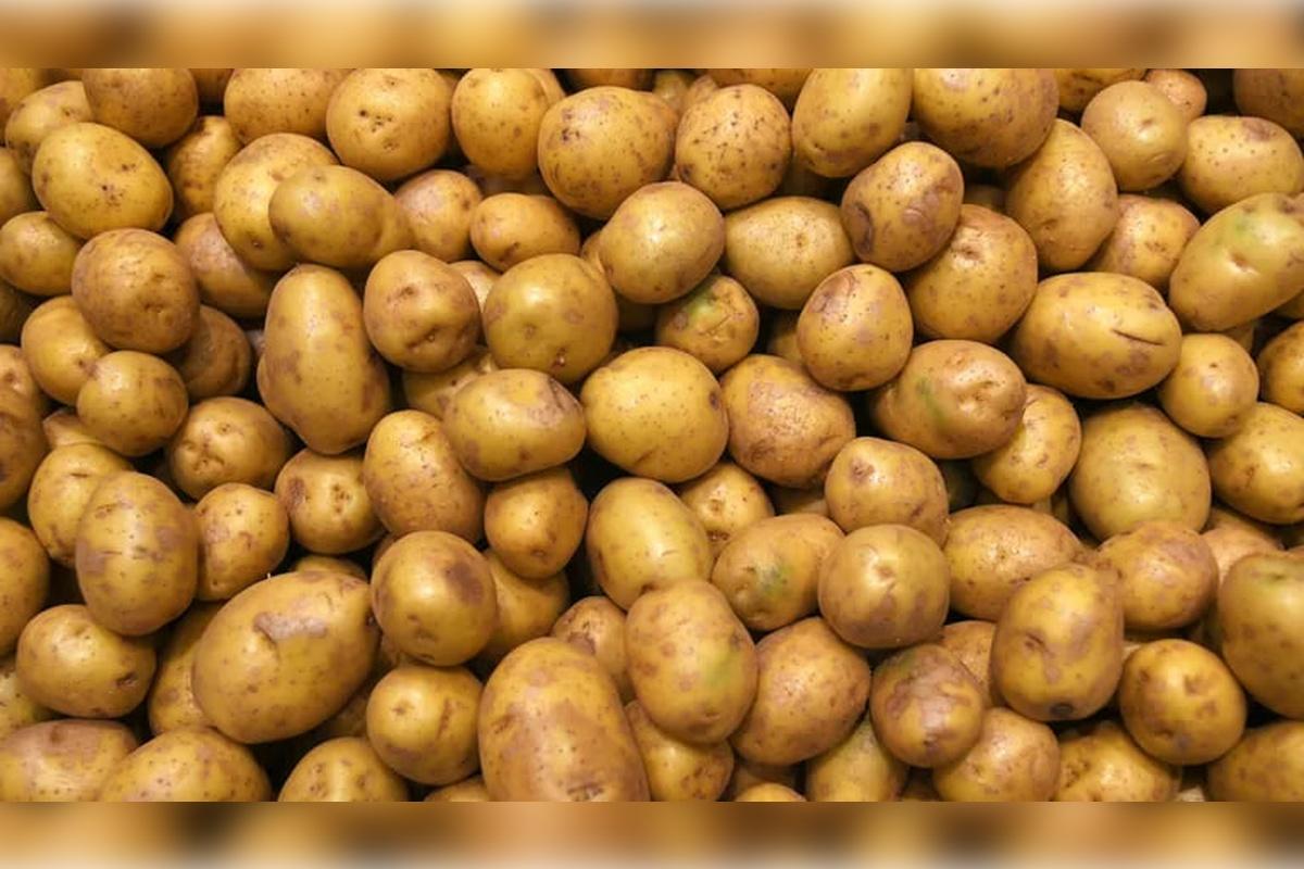 ФАС: цены на картофель в России должны в скором времени снизиться