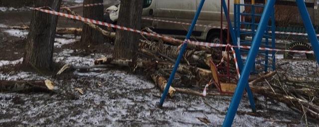 В Рязани на детскую площадку рухнуло дерево