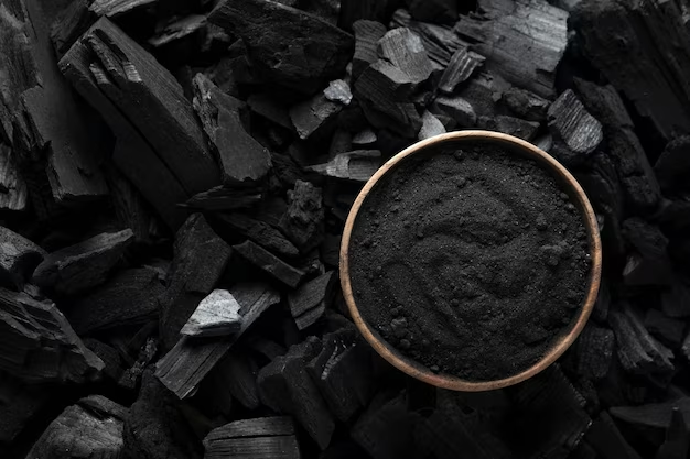 Под Новосибирском откроется новый угольный разрез