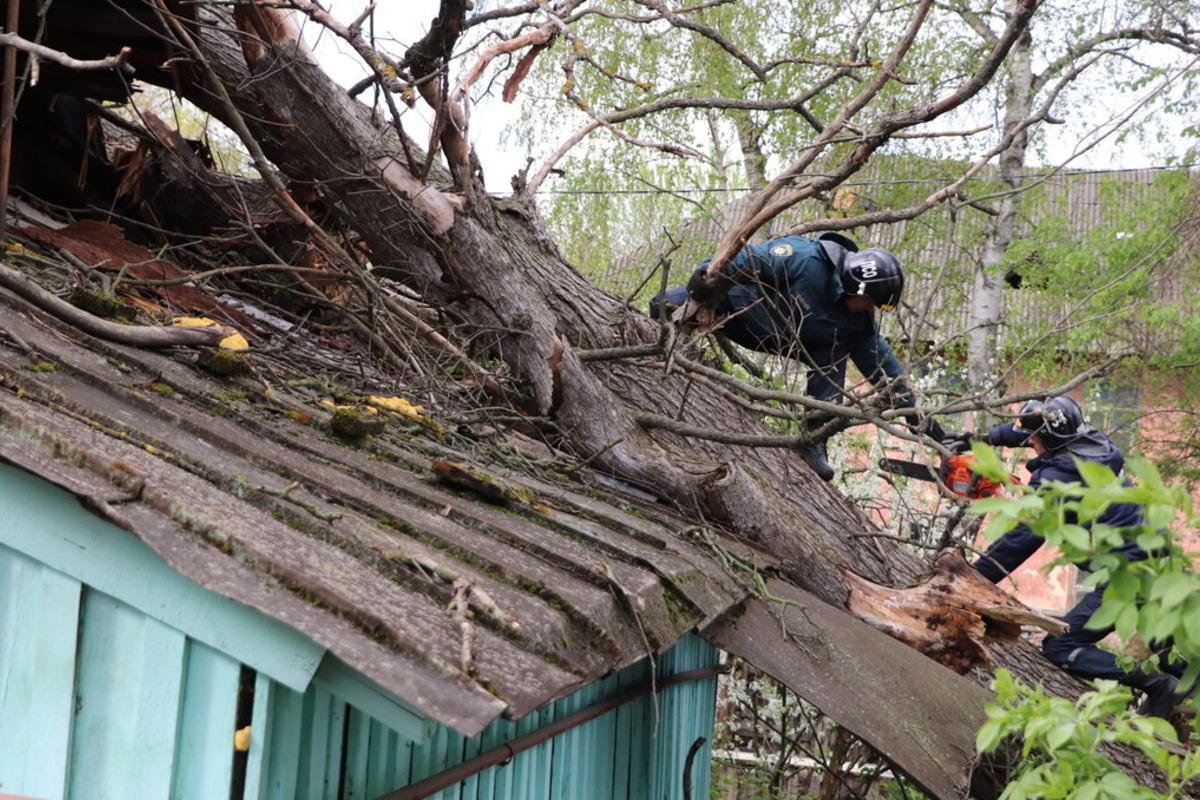 Ураган в Орловской области оставил без электричества сотни населенных пунктов
