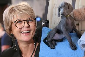 «Мордочка, от которой невозможно оторваться»: 55-летняя Меньшова привела в дом пушистого красавца