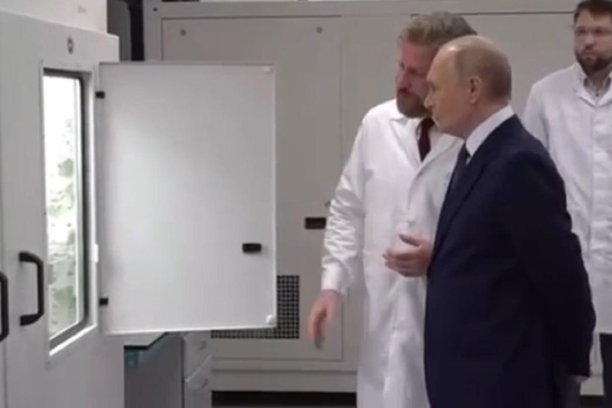 В «Сириусе» создали устойчивый виноград и супер-клубнику с помощью редактирования генов