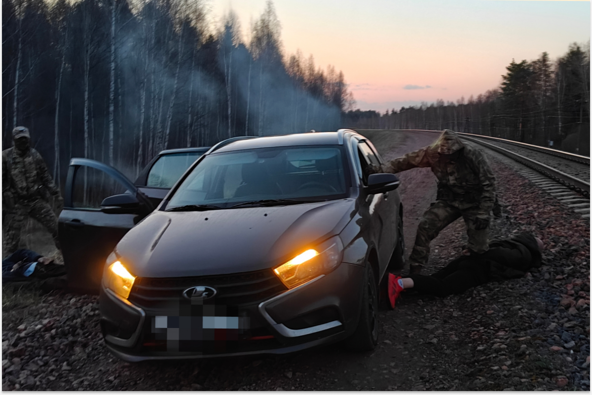 ФСБ пресекла попытку нелегального проникновения африканцев через Смоленскую область