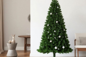 Новогодняя елка – скрытая угроза: как распознать и избежать аллергии