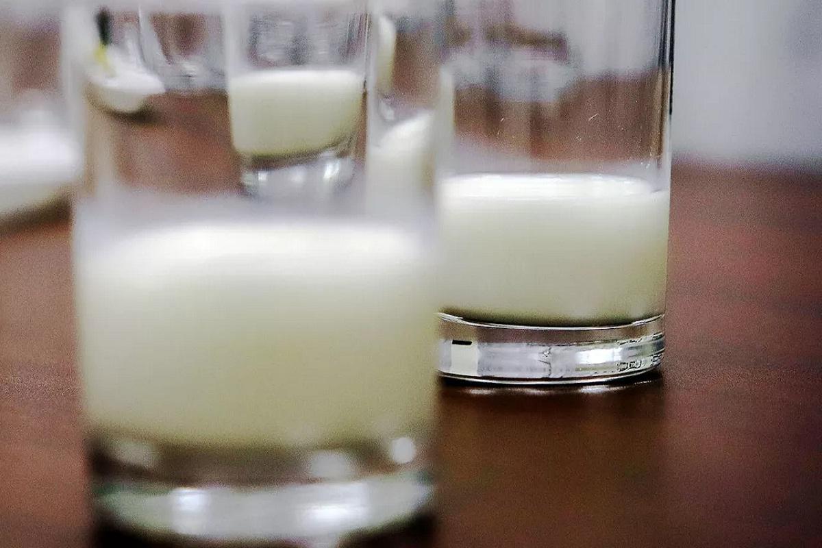 Эксперты назвали кумыс напитком богатырей