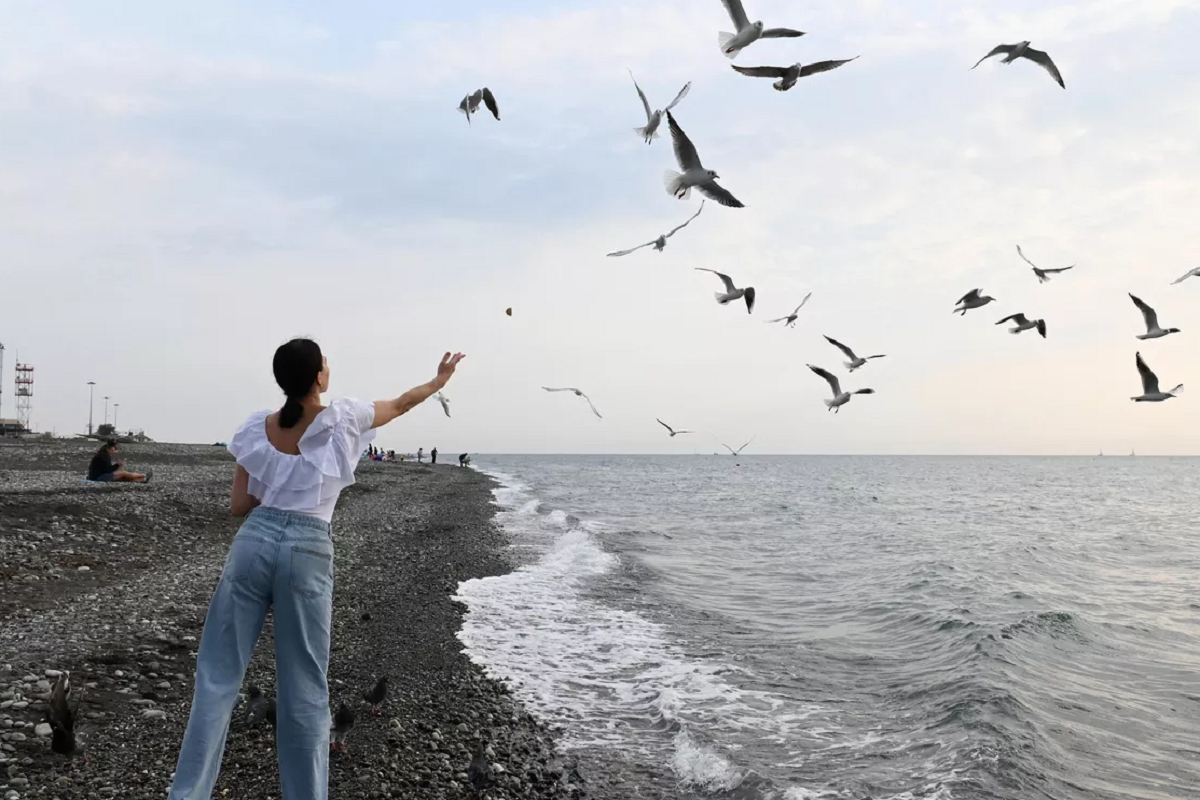 Сочи вошел в топ направлений для одиночных путешествий