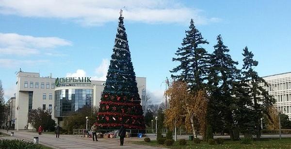 В Новороссийске украсили главную городскую ель