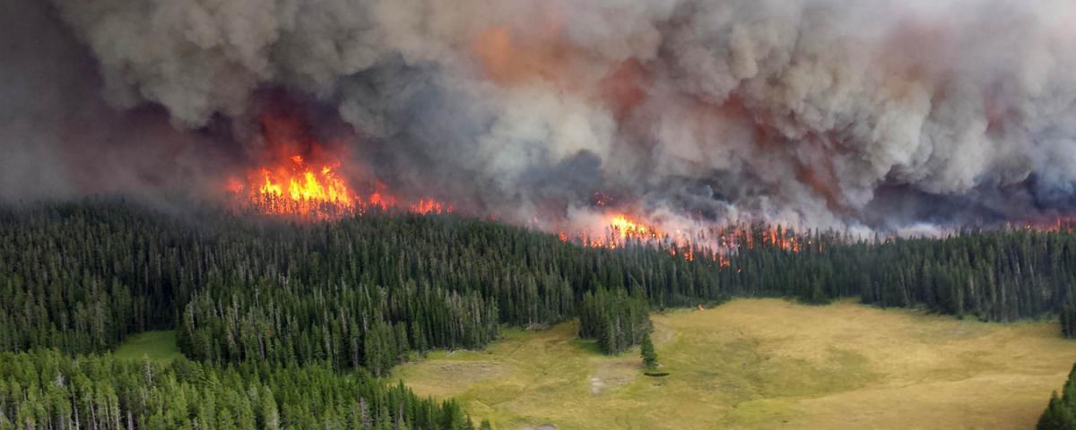 Главный синоптик РФ: Ситуация с лесными пожарами будет ухудшаться