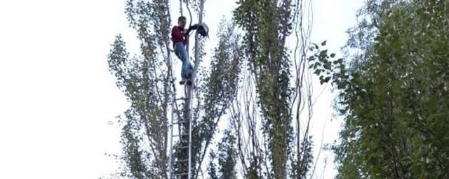 Молодой казанец упал после десятичасового сидения на дереве